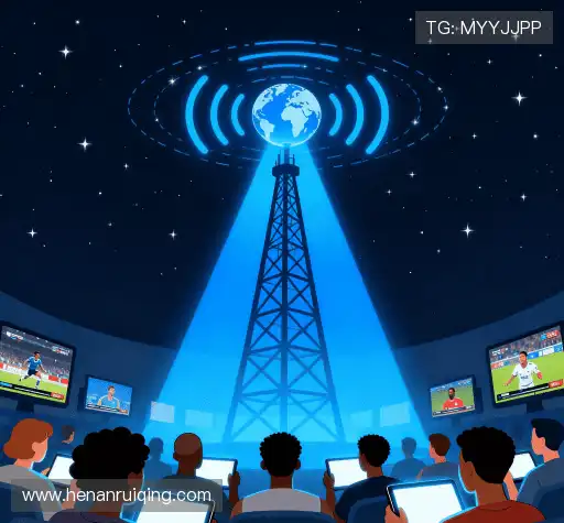 为什么选择我们